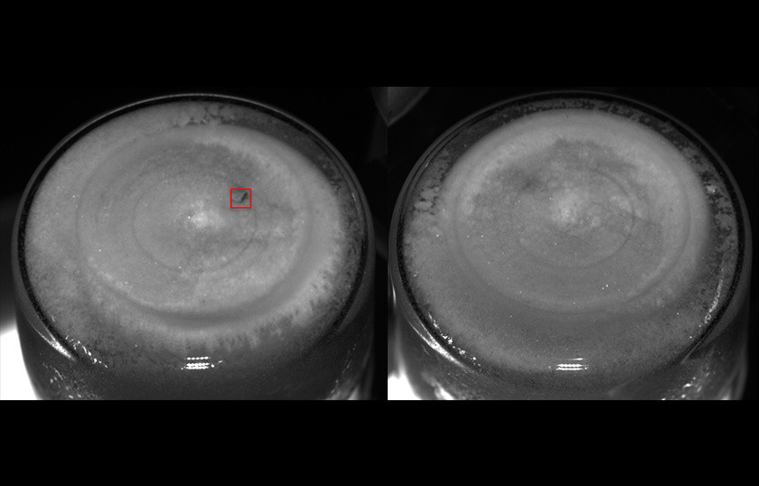 Lyo Particles on Bottom - Inspection for lyophilized products