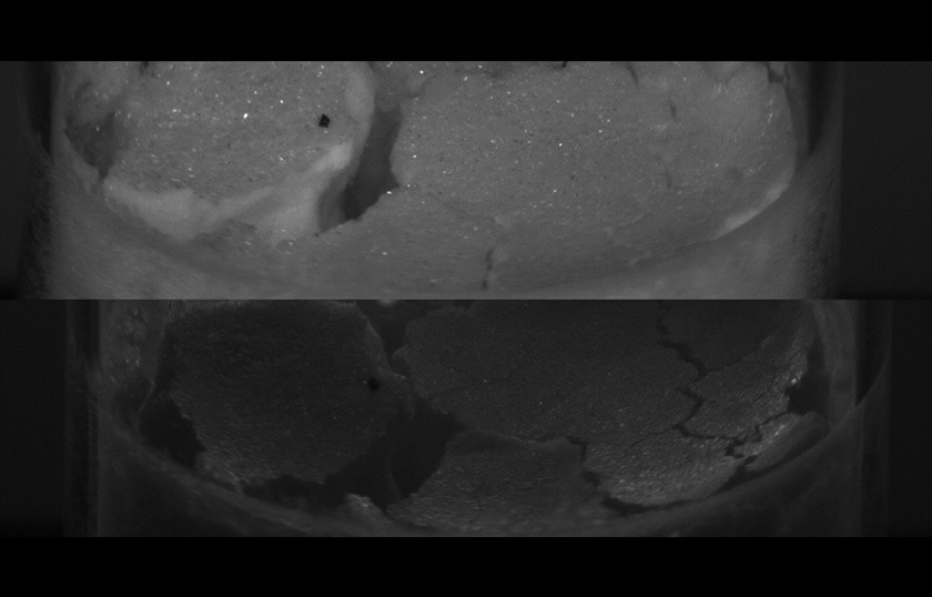 Lyo Particles on Top - Inspection for lyophilized products