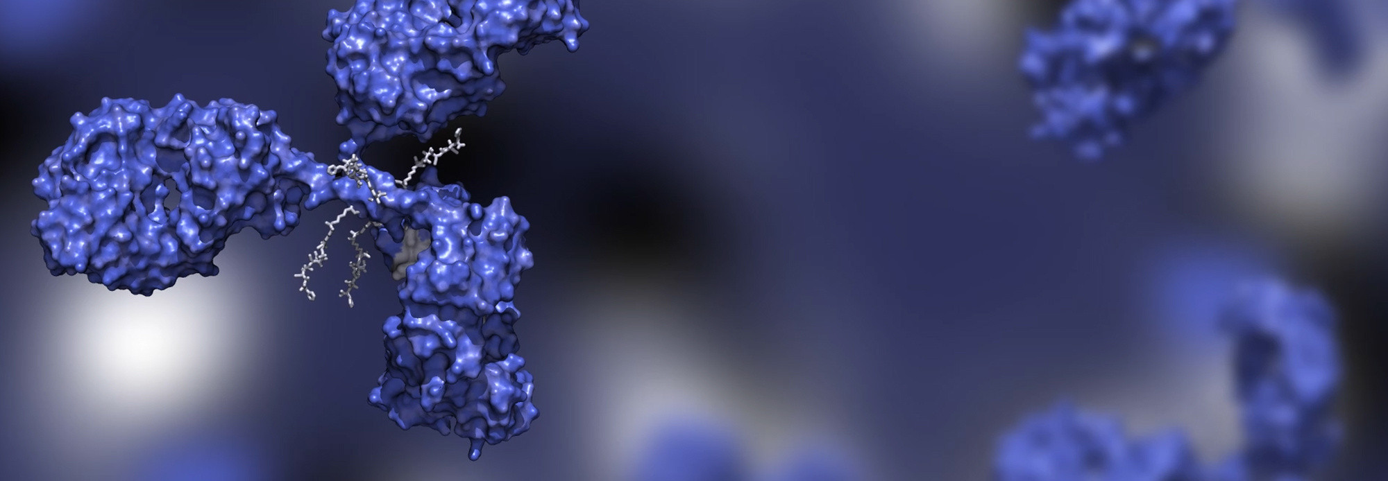 adcs molecule wide