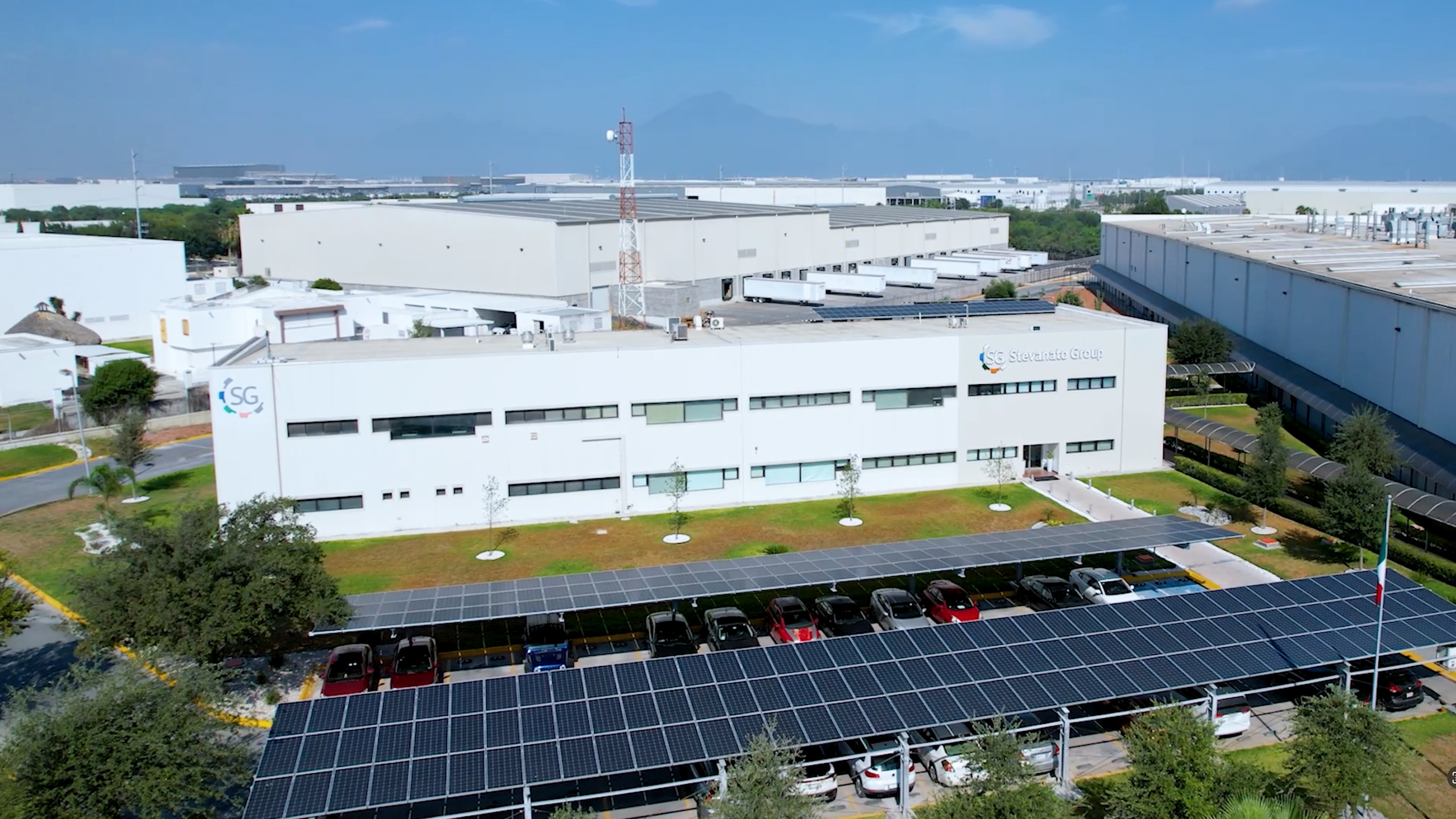 Monterrey plant view