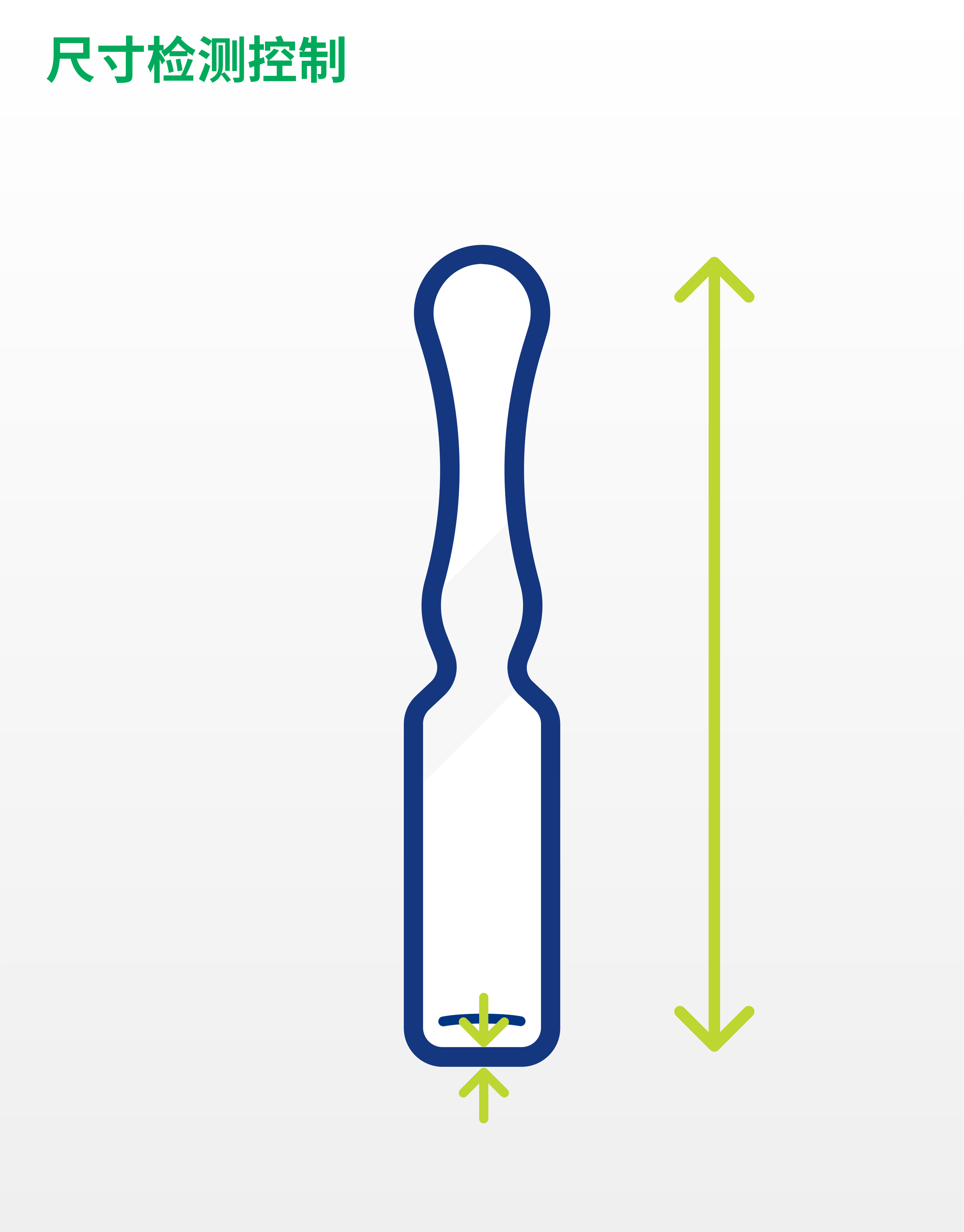 ZH_Dimensional_controls_ampoules_ill